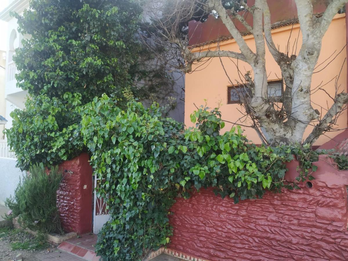 Dar El Pirata Hostel Asilah Ngoại thất bức ảnh